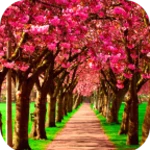 Logo of Spring Wallpaper HD android Application 