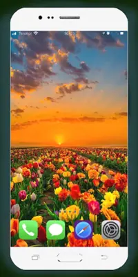 Spring Wallpaper HD android App screenshot 12