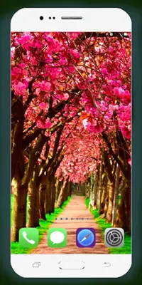 Spring Wallpaper HD android App screenshot 13