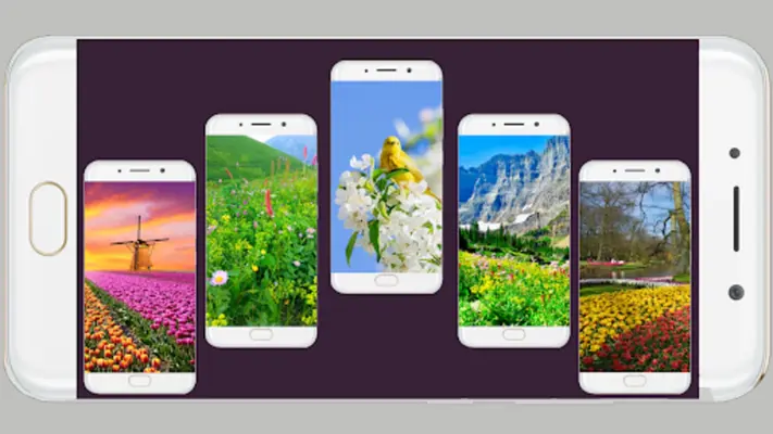 Spring Wallpaper HD android App screenshot 14