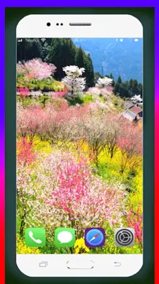 Spring Wallpaper HD android App screenshot 2