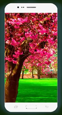 Spring Wallpaper HD android App screenshot 5