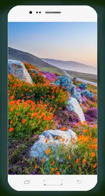 Spring Wallpaper HD android App screenshot 7